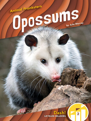 cover image of Opossums